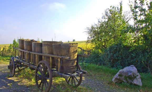 Hungary Wine on wagon