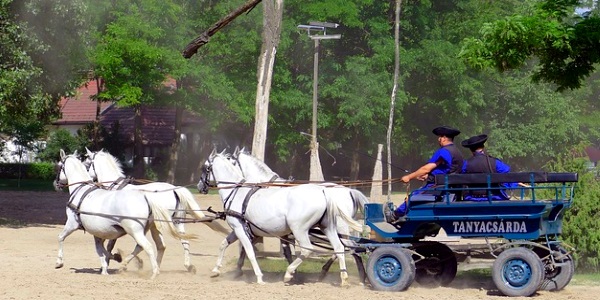 Puszta Hungary horses and coach